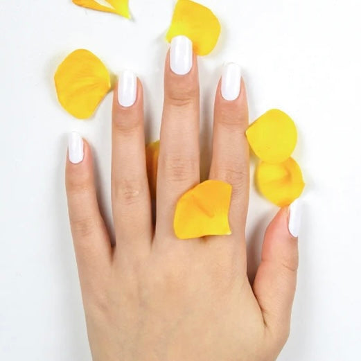 *Snow White Bundle 3in1